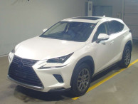 2019 Lexus NX