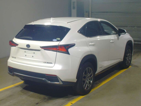 2019 Lexus NX AYZ10[1]