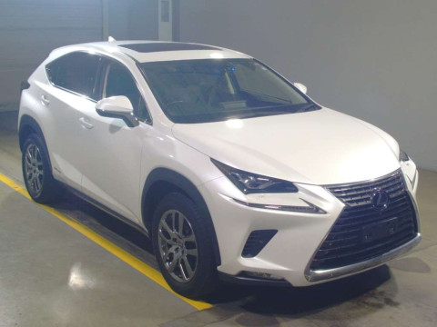 2019 Lexus NX AYZ10[2]