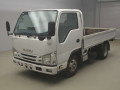 2019 Isuzu Elf Truck