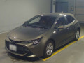 2019 Toyota Corolla Sports