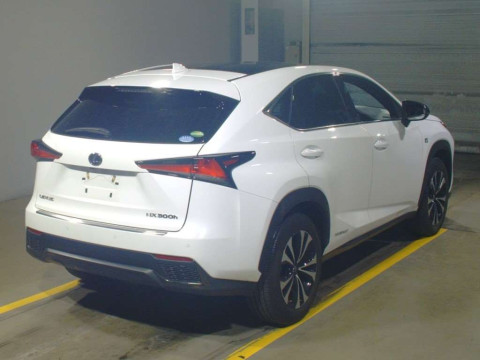 2020 Lexus NX AYZ15[1]