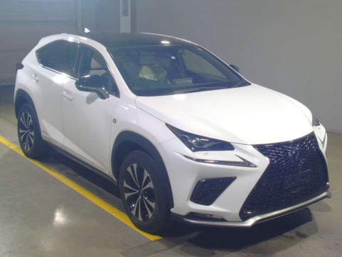 2020 Lexus NX AYZ15[2]