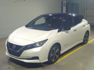 2020 Nissan Leaf