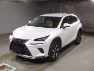 2019 Lexus NX