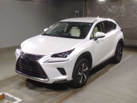 2020 Lexus NX