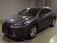 2021 Lexus UX