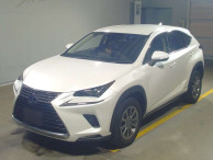 2020 Lexus NX