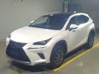 2018 Lexus NX