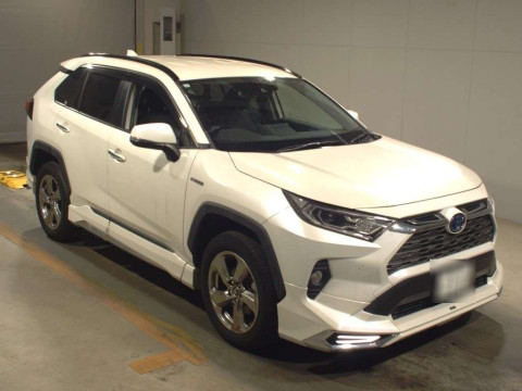 2019 Toyota RAV4 AXAH54[2]