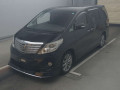 2010 Toyota Alphard