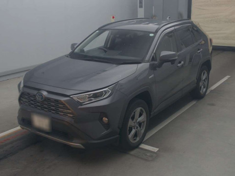 2019 Toyota RAV4 AXAH54[0]