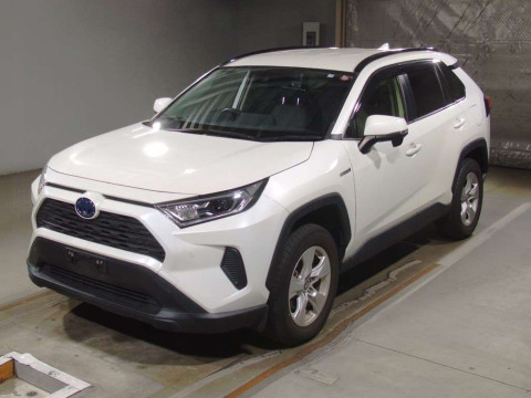 2019 Toyota RAV4 AXAH52[0]