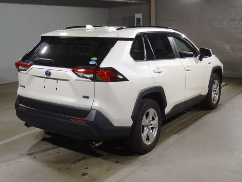 2019 Toyota RAV4 AXAH52[1]