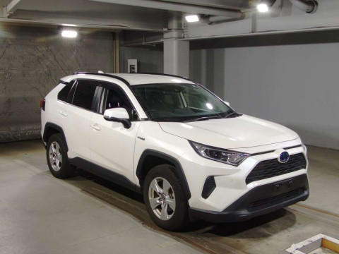 2019 Toyota RAV4 AXAH52[2]