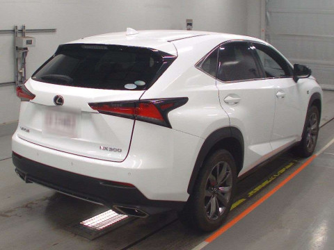 2019 Lexus NX AGZ15[1]