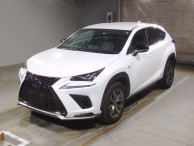 2019 Lexus NX