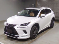 2020 Lexus NX