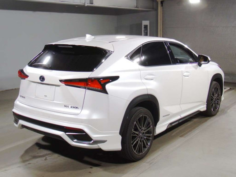 2020 Lexus NX AYZ10[1]