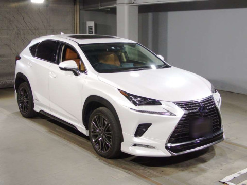 2020 Lexus NX AYZ10[2]