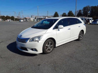 2009 Toyota Mark X Zio