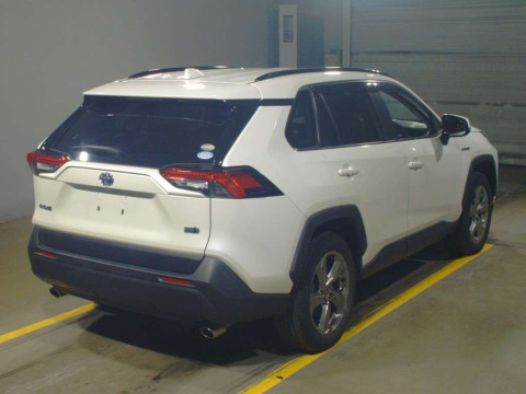 2019 Toyota RAV4 AXAH52[1]