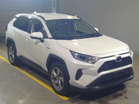 2019 Toyota RAV4 AXAH52[2]