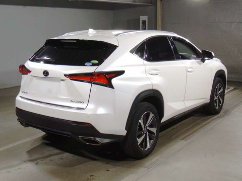 2018 Lexus NX AGZ10[1]