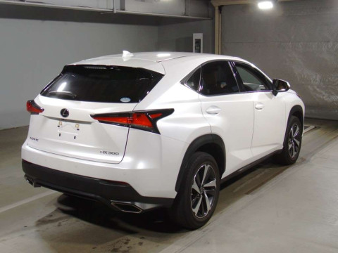 2019 Lexus NX AGZ10[1]