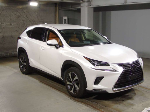 2019 Lexus NX AGZ10[2]