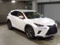 2019 Lexus NX