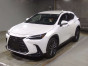 2022 Lexus NX