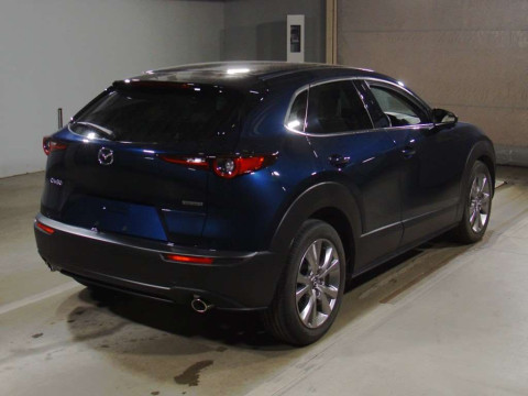 2019 Mazda CX-30 DMEP[1]