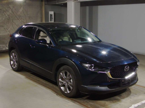 2019 Mazda CX-30 DMEP[2]