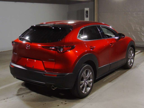 2019 Mazda CX-30 DMEP[1]