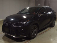 2020 Lexus NX