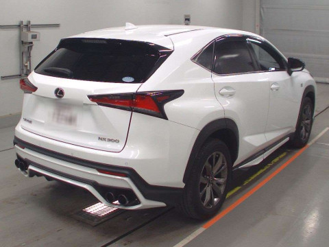 2018 Lexus NX AGZ10[1]