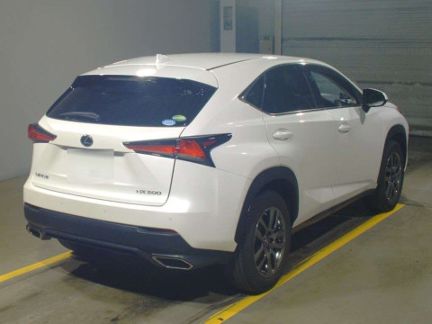 2018 Lexus NX AGZ10[1]