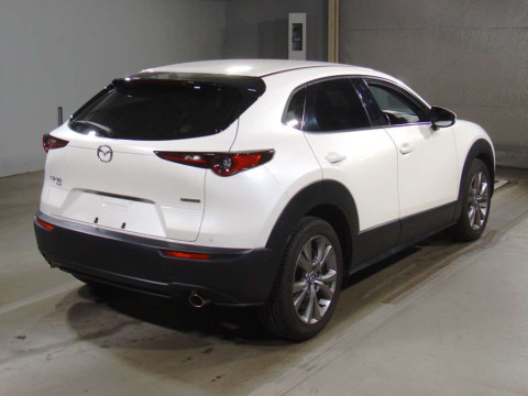 2020 Mazda CX-30 DMEP[1]