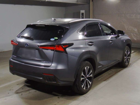 2018 Lexus NX AYZ15[1]