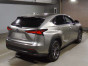 2020 Lexus NX