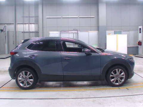 2020 Mazda CX-30 DMEP[2]