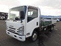 2018 Isuzu Elf Truck