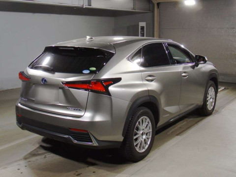 2020 Lexus NX AYZ10[1]