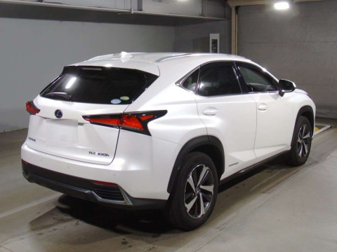 2018 Lexus NX AYZ10[1]