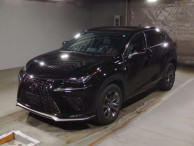 2019 Lexus NX