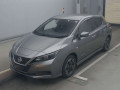 2017 Nissan Leaf