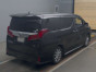 2019 Toyota Alphard