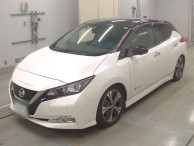 2021 Nissan Leaf