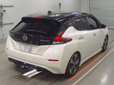 2021 Nissan Leaf ZE1[1]